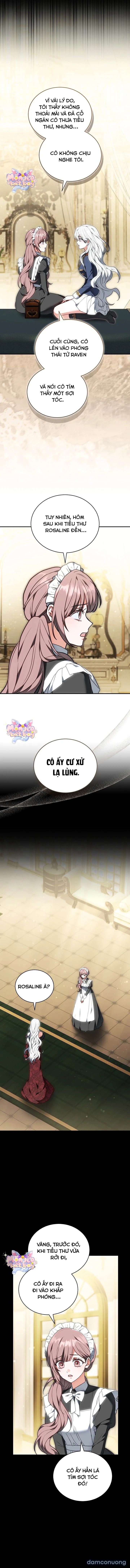 Tiểu Thư Là Kẻ Bám Đuôi 