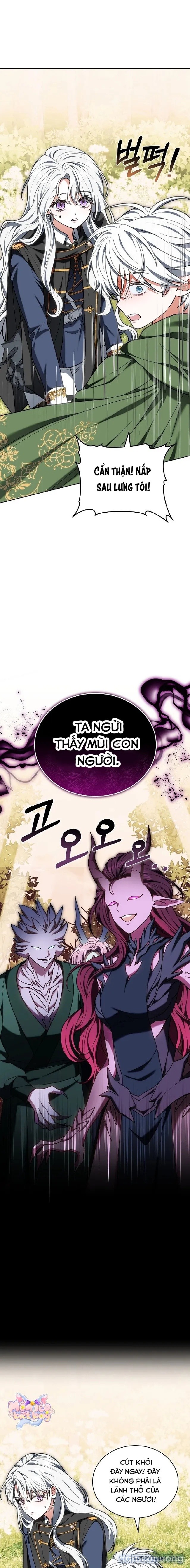 Tiểu Thư Là Kẻ Bám Đuôi 