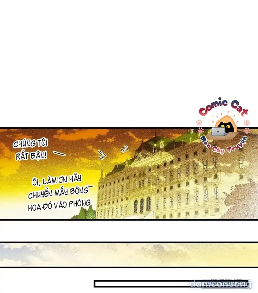 Câu chuyện cổ tích người mẹ kế 