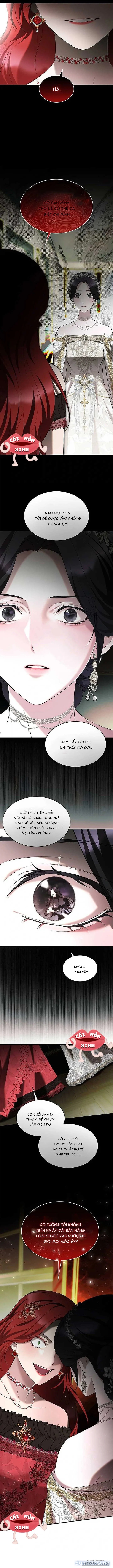 Vào Ngày Mà Chị Gái Tôi Qua Đời 