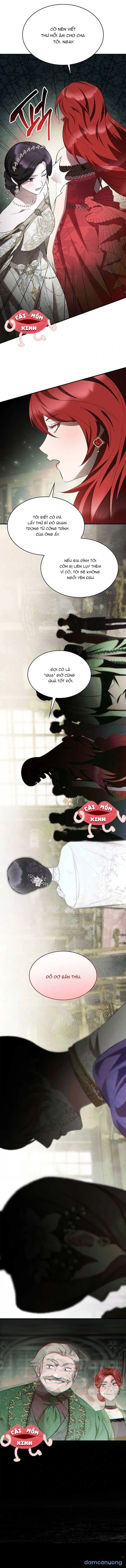 Vào Ngày Mà Chị Gái Tôi Qua Đời 