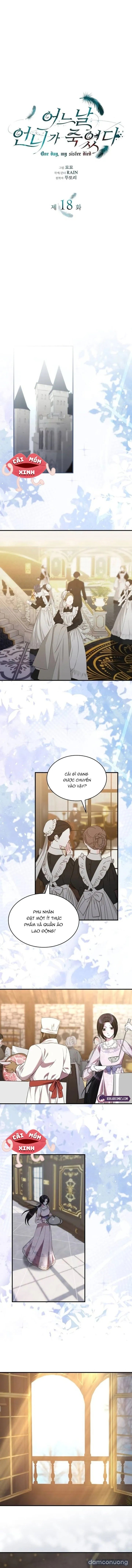 Vào Ngày Mà Chị Gái Tôi Qua Đời 