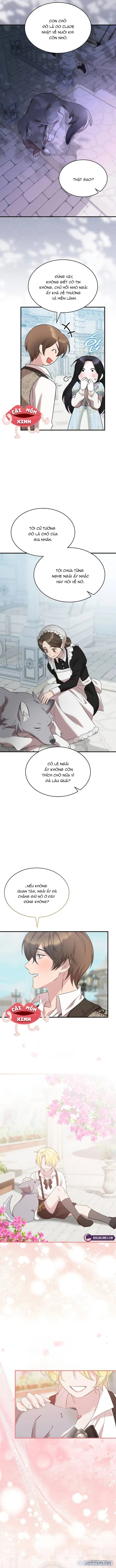 Vào Ngày Mà Chị Gái Tôi Qua Đời 