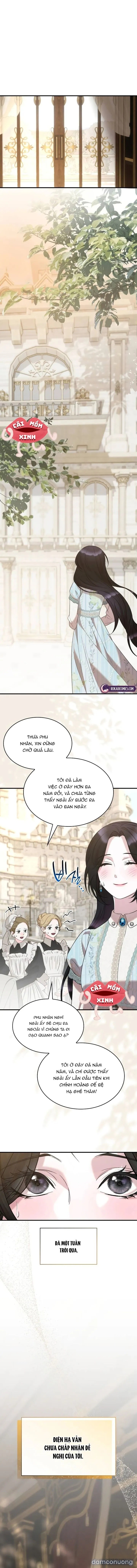 Vào Ngày Mà Chị Gái Tôi Qua Đời 