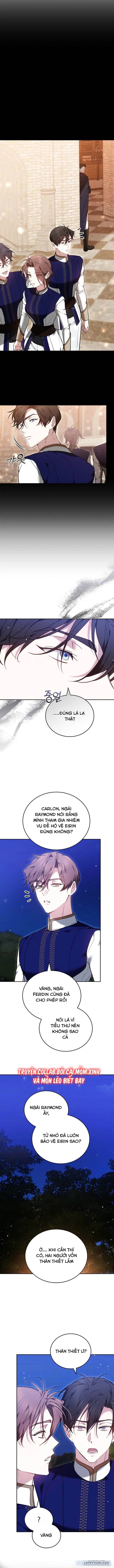 Vào Ngày Mà Chị Gái Tôi Qua Đời 
