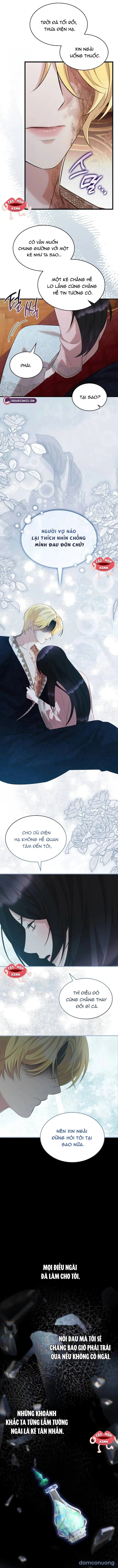 Vào Ngày Mà Chị Gái Tôi Qua Đời 