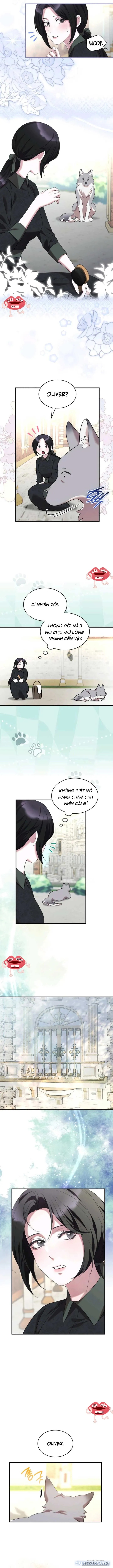 Vào Ngày Mà Chị Gái Tôi Qua Đời 