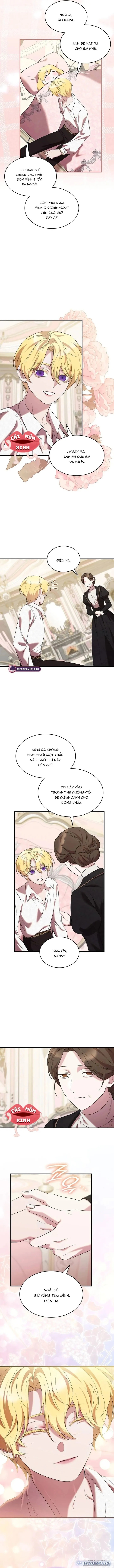 Vào Ngày Mà Chị Gái Tôi Qua Đời 