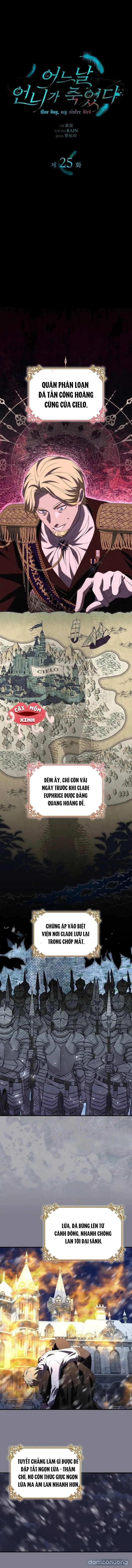 Vào Ngày Mà Chị Gái Tôi Qua Đời 