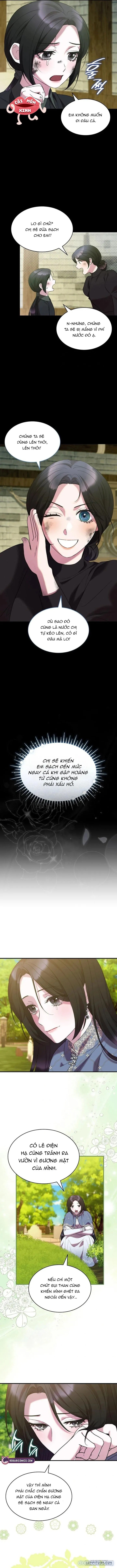 Vào Ngày Mà Chị Gái Tôi Qua Đời 