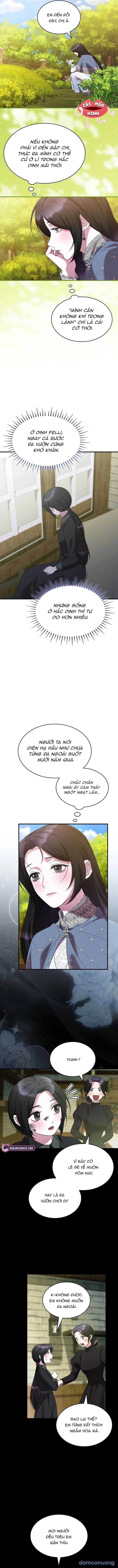 Vào Ngày Mà Chị Gái Tôi Qua Đời 