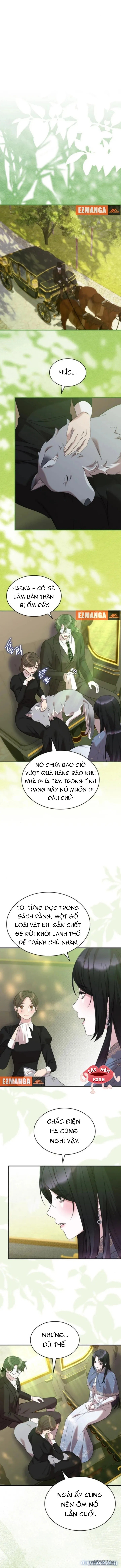 Vào Ngày Mà Chị Gái Tôi Qua Đời 