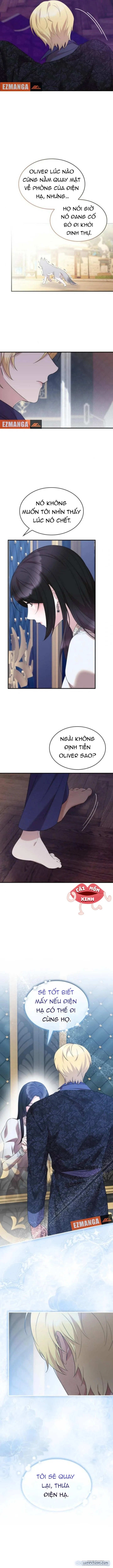 Vào Ngày Mà Chị Gái Tôi Qua Đời 