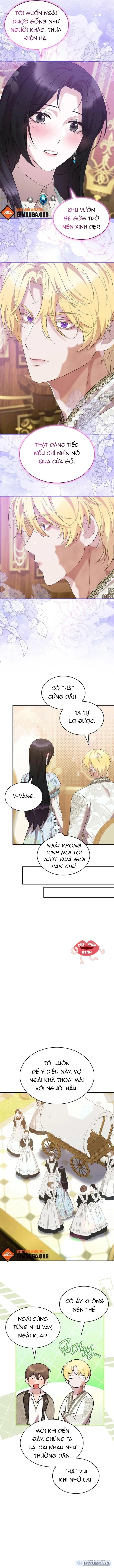 Vào Ngày Mà Chị Gái Tôi Qua Đời 