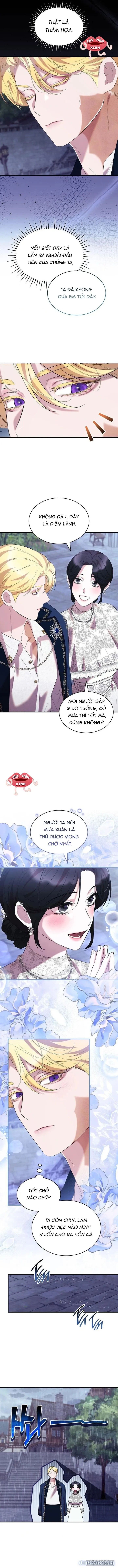 Vào Ngày Mà Chị Gái Tôi Qua Đời 