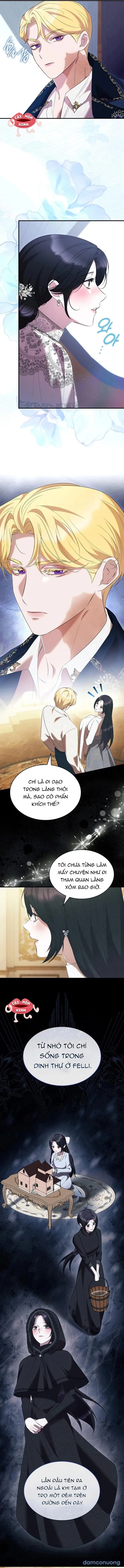 Vào Ngày Mà Chị Gái Tôi Qua Đời 