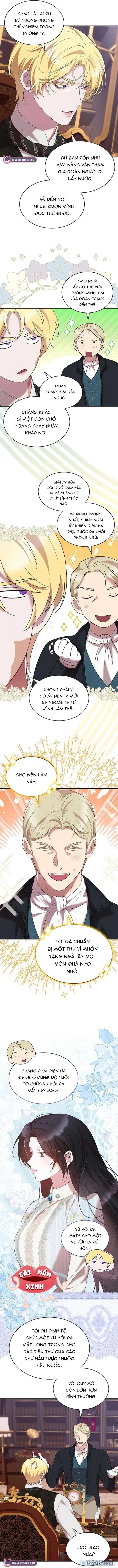 Vào Ngày Mà Chị Gái Tôi Qua Đời 