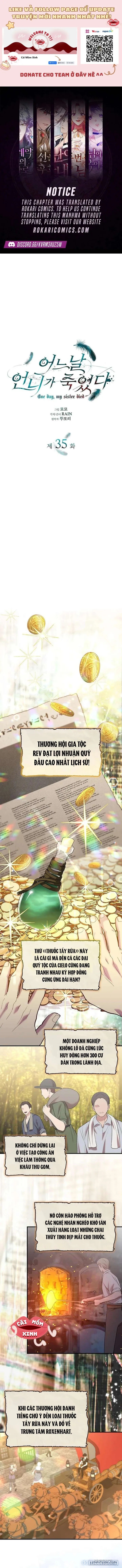 Vào Ngày Mà Chị Gái Tôi Qua Đời 