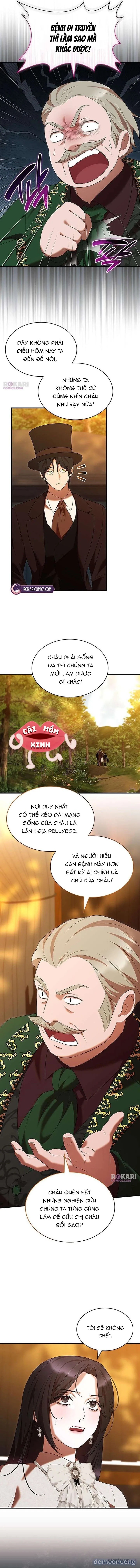 Vào Ngày Mà Chị Gái Tôi Qua Đời 