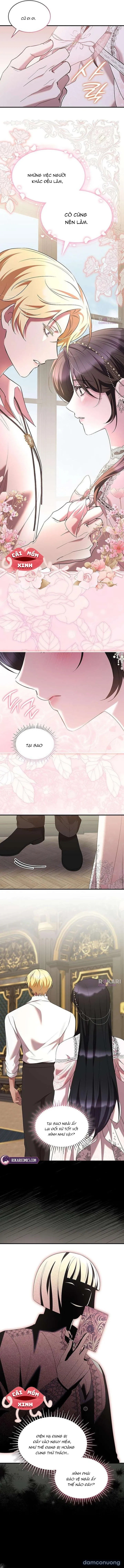 Vào Ngày Mà Chị Gái Tôi Qua Đời 