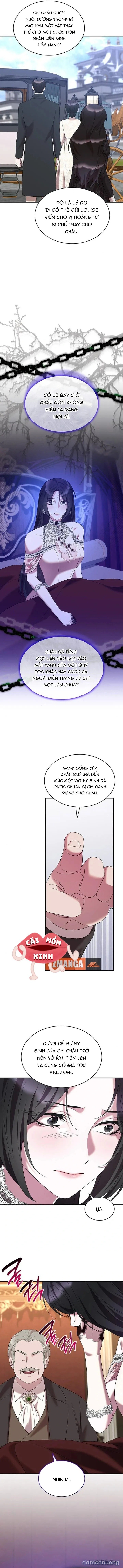 Vào Ngày Mà Chị Gái Tôi Qua Đời 