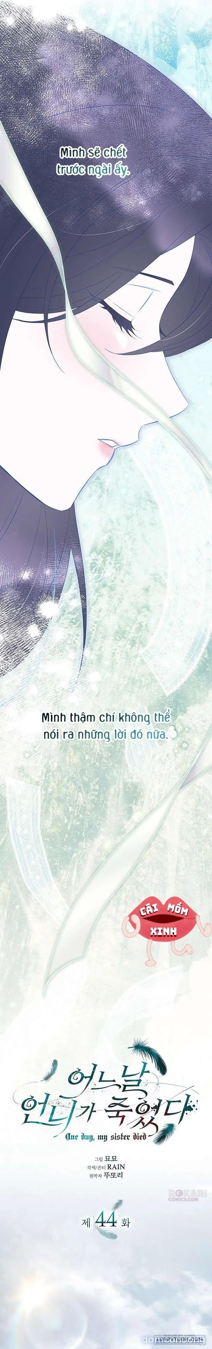 Vào Ngày Mà Chị Gái Tôi Qua Đời 