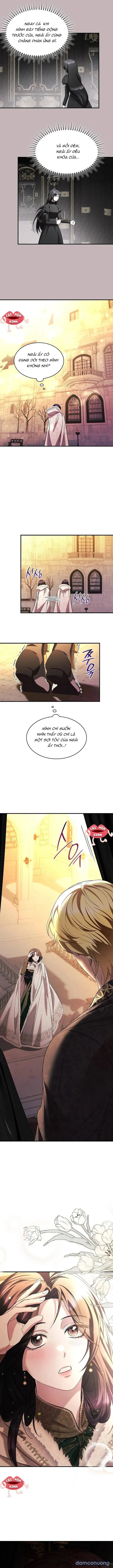 Vào Ngày Mà Chị Gái Tôi Qua Đời 