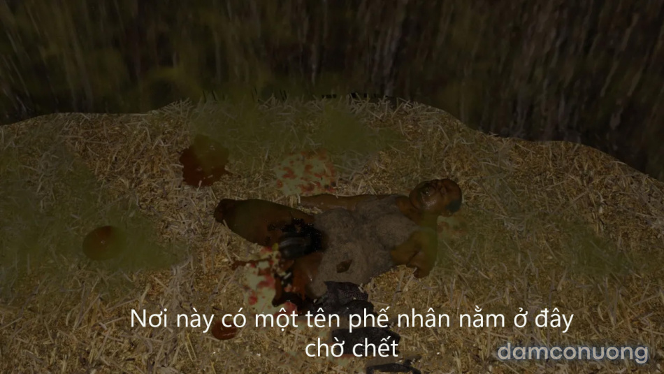 Tiên Tử Nón Xanh Sinh Hoạt 