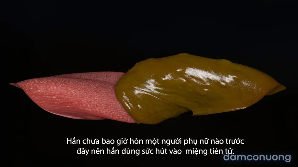Tiên Tử Nón Xanh Sinh Hoạt 