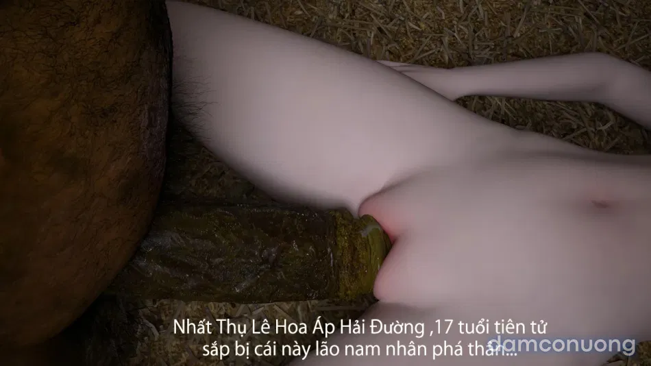 Tiên Tử Nón Xanh Sinh Hoạt 