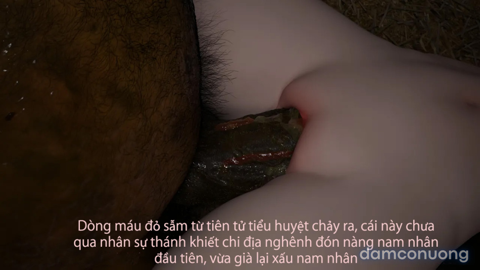 Tiên Tử Nón Xanh Sinh Hoạt 