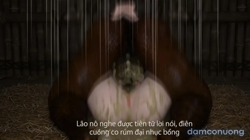 Tiên Tử Nón Xanh Sinh Hoạt 