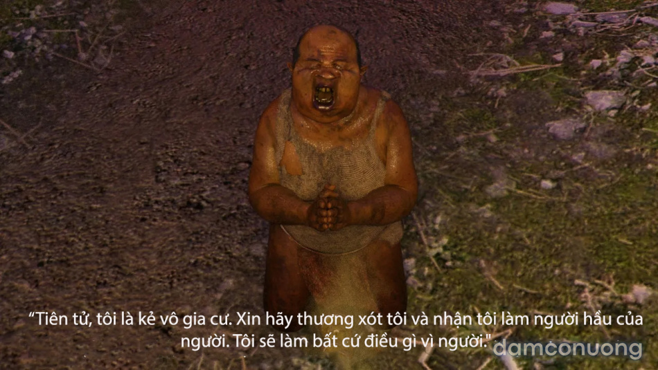 Tiên Tử Nón Xanh Sinh Hoạt 
