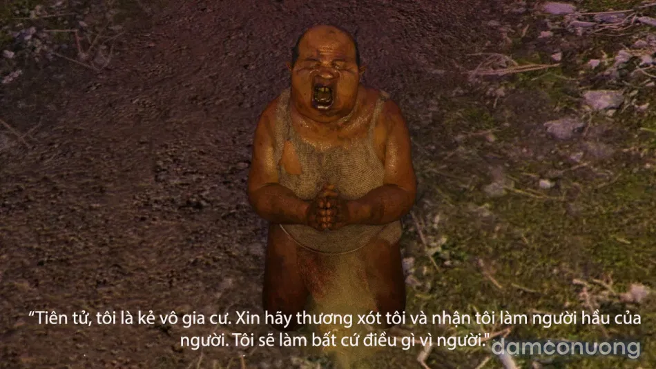 Tiên Tử Nón Xanh Sinh Hoạt 