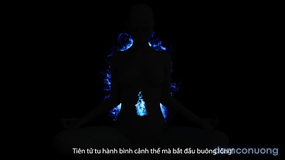 Tiên Tử Nón Xanh Sinh Hoạt 