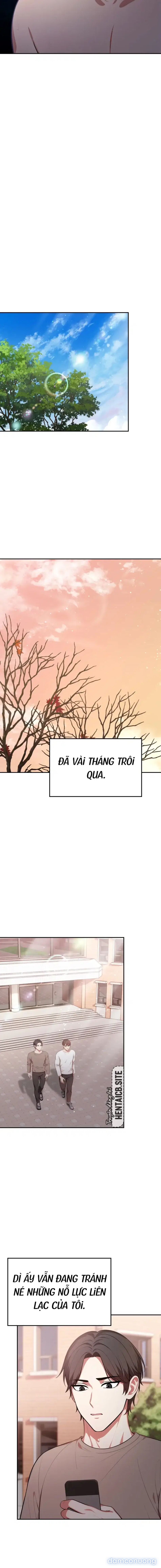 Mẹ bạn - Người phụ nữ lý tưởng của tôi 