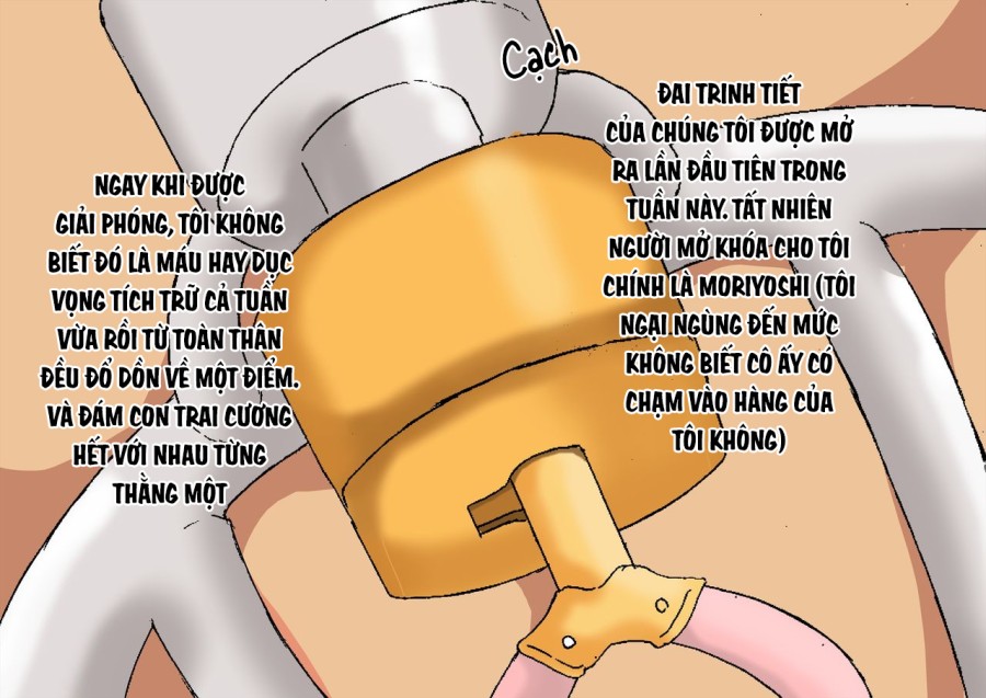 Một ngôi trường có các bản phác thảo do các cô gái ở Cass quản lý 
