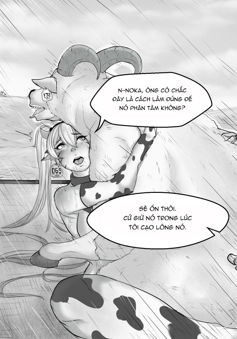 Công việc tạm thời của Naruto 