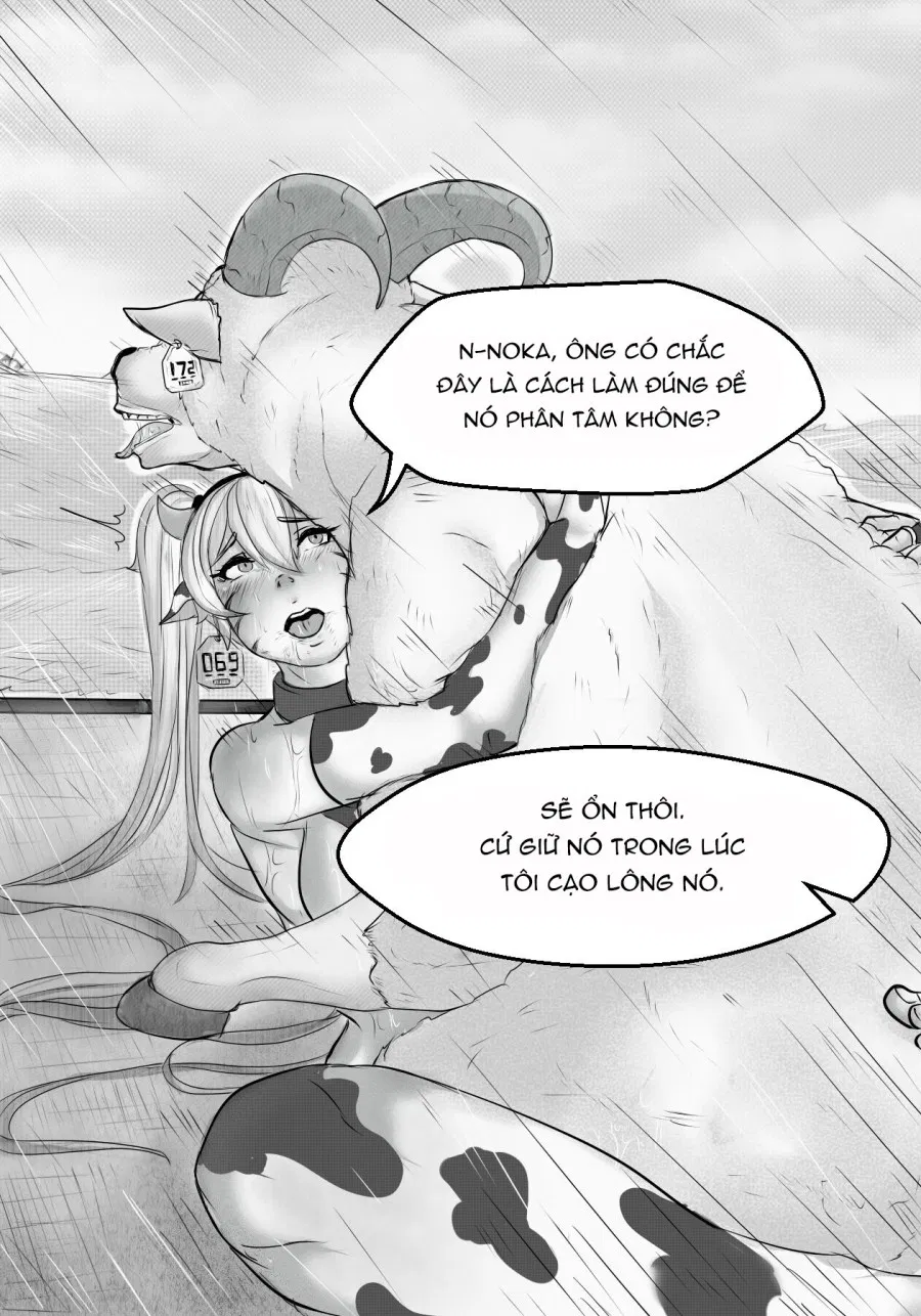 Công việc tạm thời của Naruto 