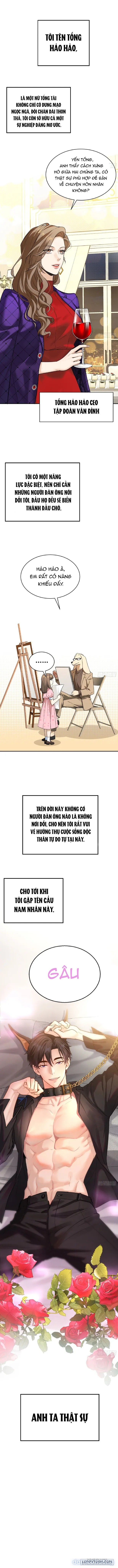 Gã Đàn Ông Này Đúng Là Cẩu Nam Nhân 