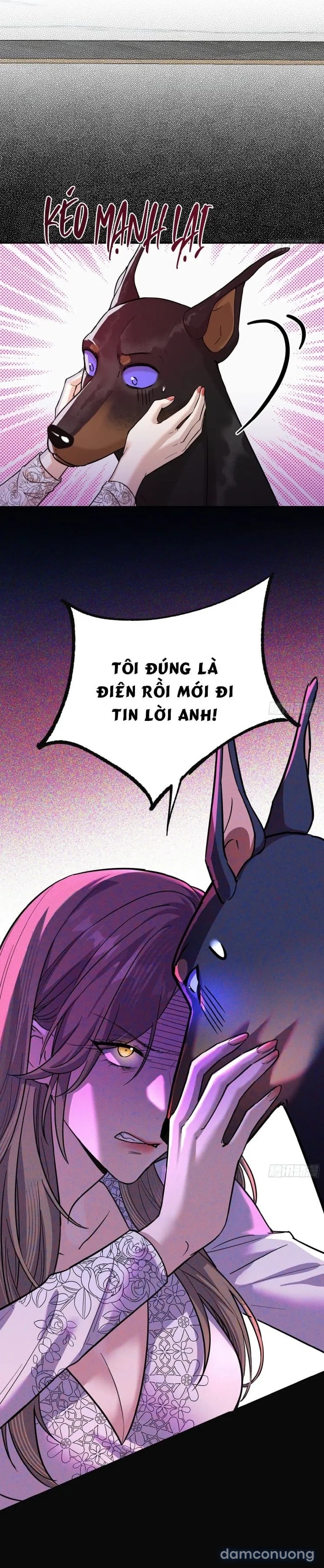 Gã Đàn Ông Này Đúng Là Cẩu Nam Nhân 