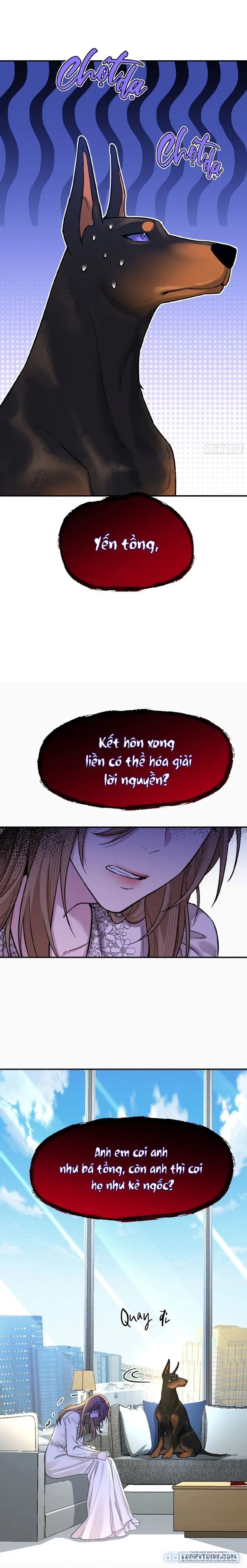 Gã Đàn Ông Này Đúng Là Cẩu Nam Nhân 