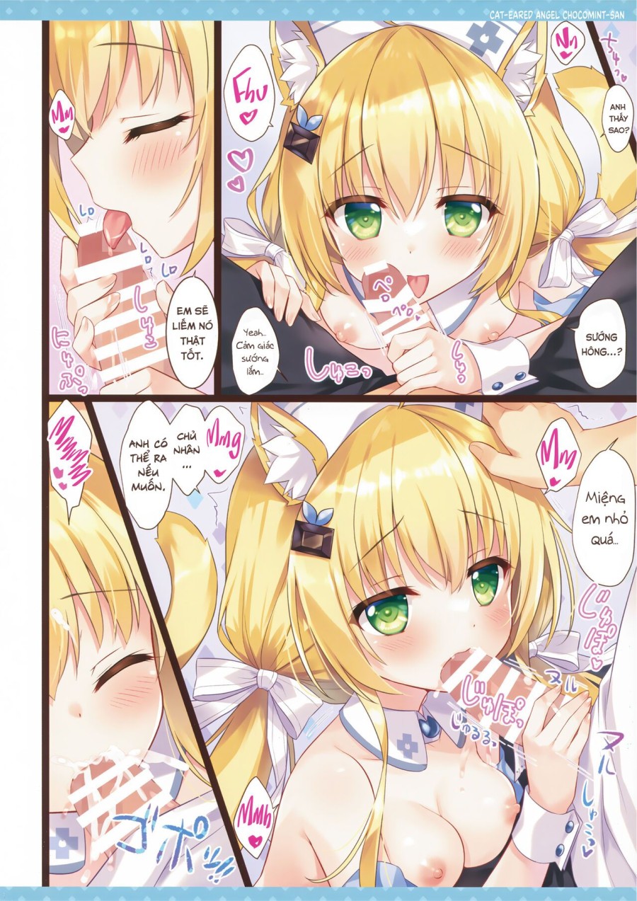 Cô mèo thiên thần Chocomint-san. 