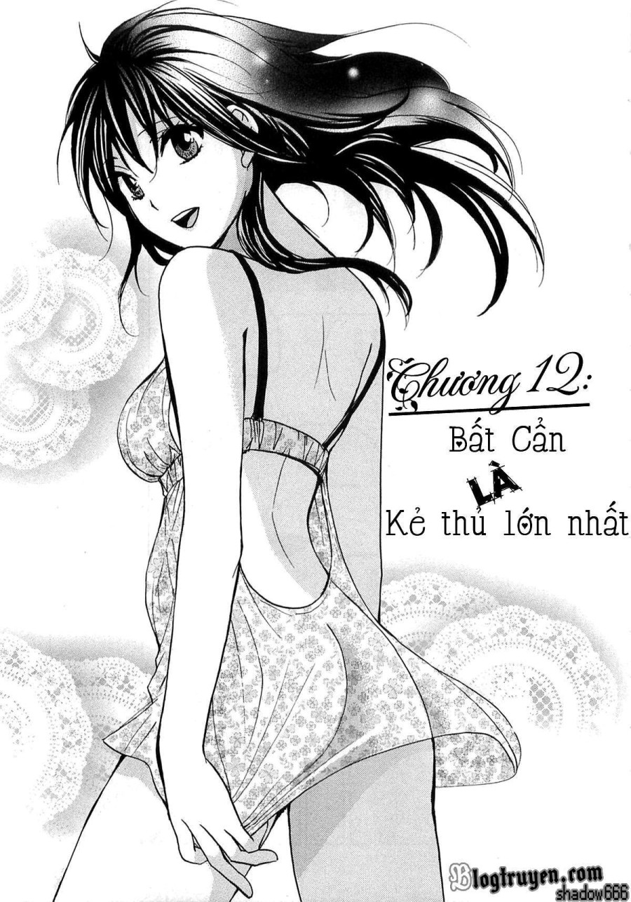 Công việc của tôi là yêu 