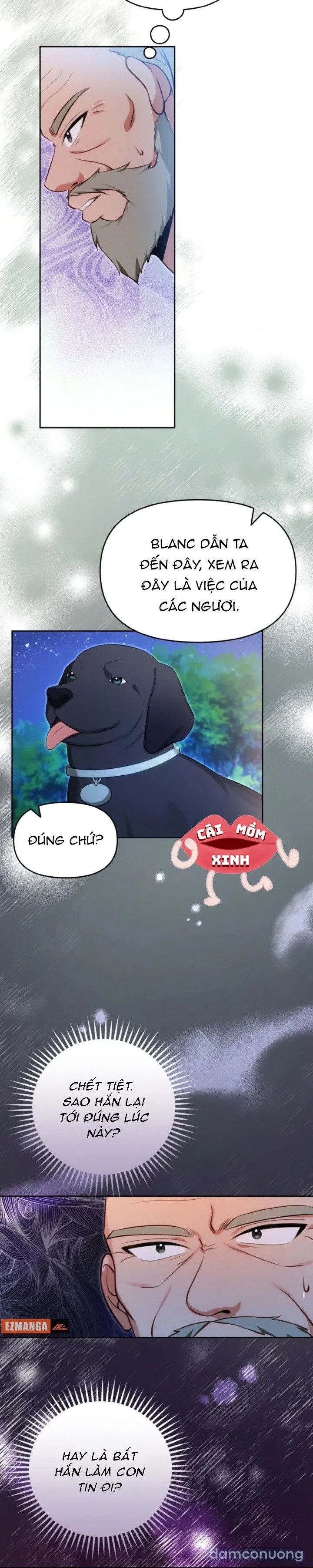 Khi Người Chồng Cũ Của Tôi Đòi Tái Hợp 