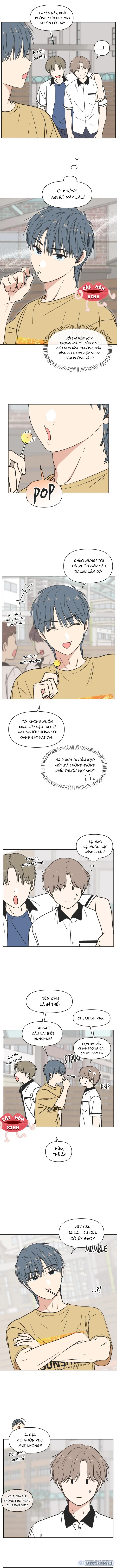 Thanh Xuân Ngọt Ngào 
