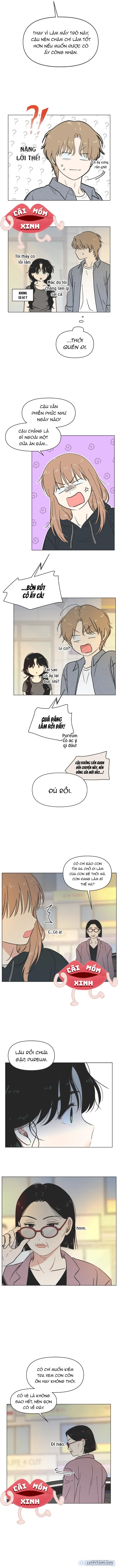 Thanh Xuân Ngọt Ngào 