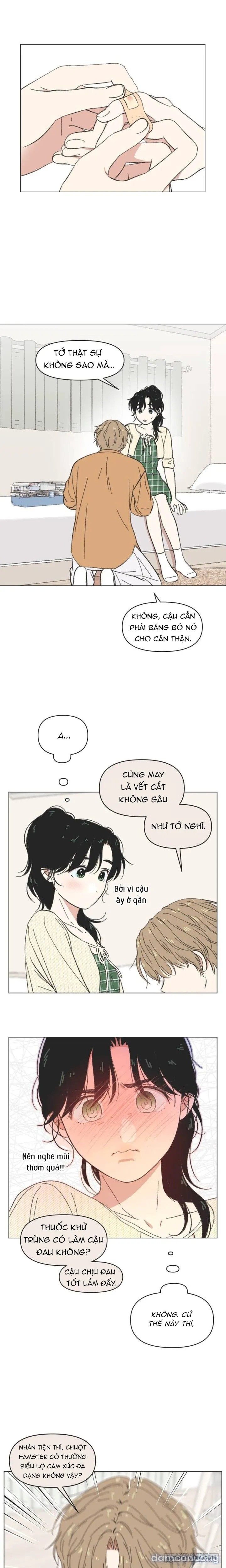 Thanh Xuân Ngọt Ngào 
