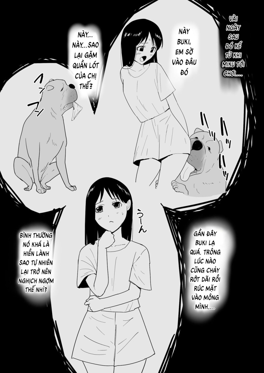 Với thú cưng của một người bạn 