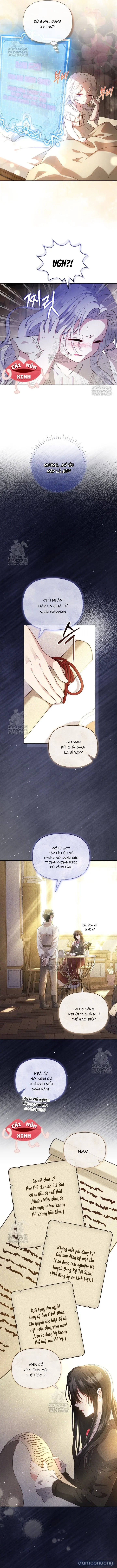 Cái Giá Của Tái Sinh 